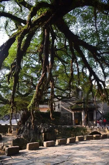 博皓游記 | 夏風微醺的綺夢，領略賀州黃姚古鎮(zhèn)、姑婆山閑憩之美-12