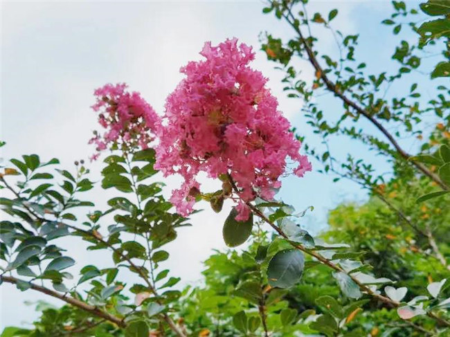 呼吸鮮氧，踐行公益——廣東博皓公益活動(dòng)：星溪線公益環(huán)?；顒?dòng)   -5