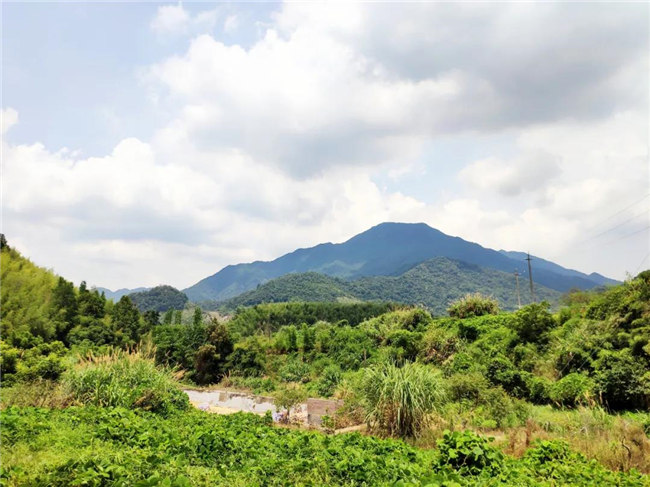 呼吸鮮氧，踐行公益——廣東博皓公益活動(dòng)：星溪線公益環(huán)?；顒?dòng)   -6