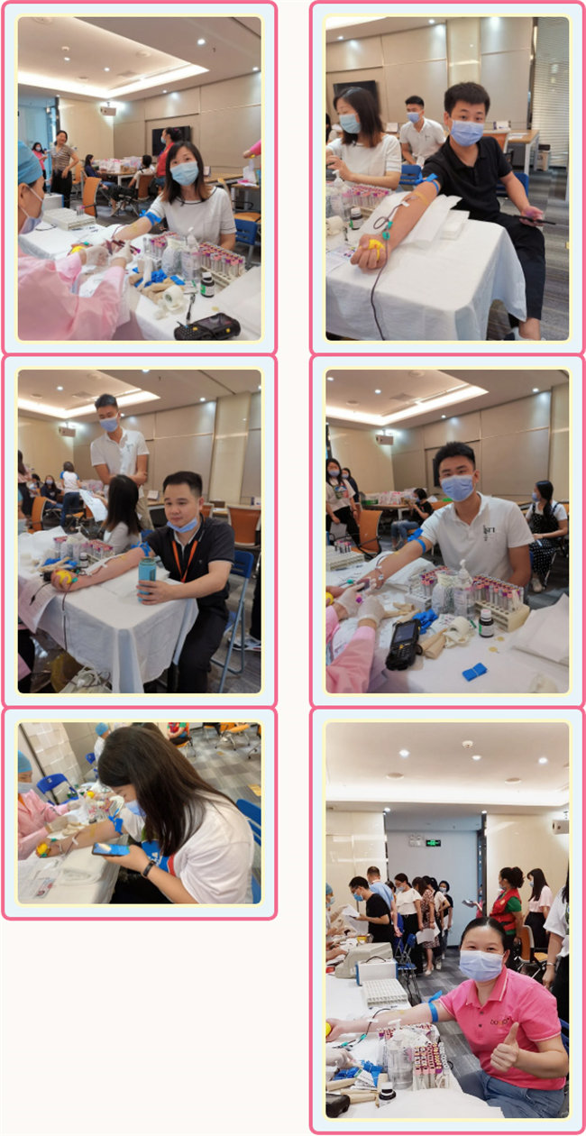 捐獻(xiàn)青春熱血，彩繪人生畫卷——廣東博皓總班委組織了一次“捐我熱血，呵護(hù)生命”的無償獻(xiàn)血公益活動(dòng)    -3
