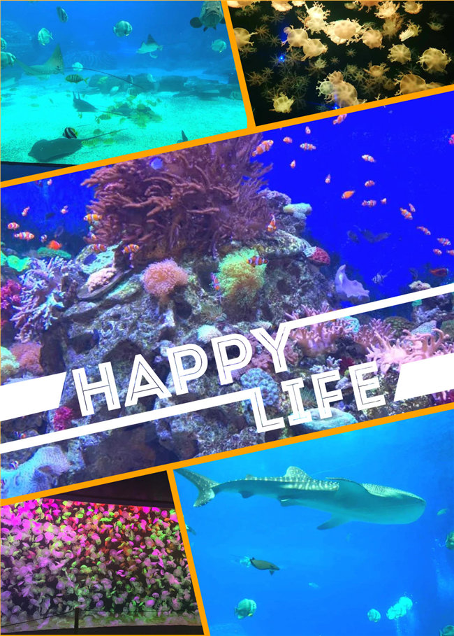 廣東博皓親子游：珠海長隆海洋王國，探索海洋生物的奧秘，奇妙的動物世界
