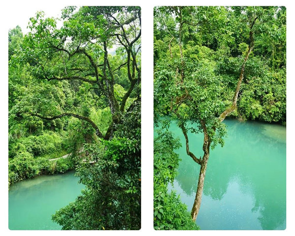 多彩貴州，魅力天下，2021年廣東博皓快樂貴州行-29