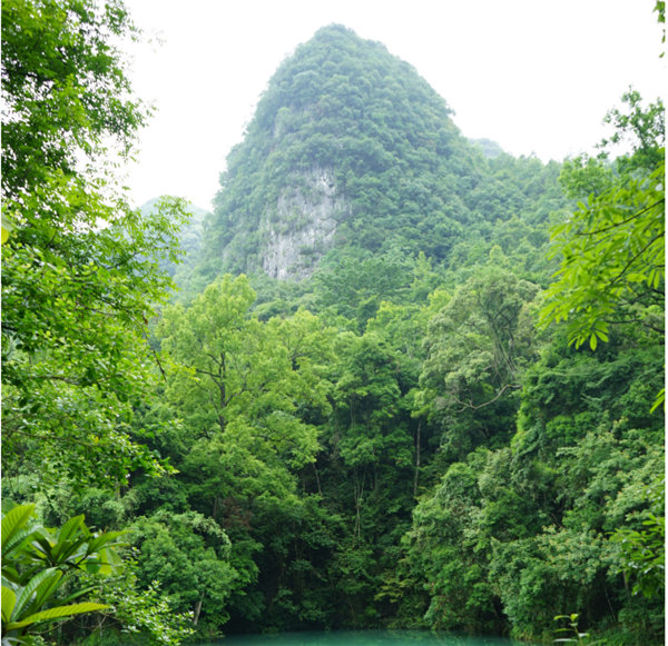 賞華夏大地，游多彩貴州-－2021年廣東博皓快樂行-2