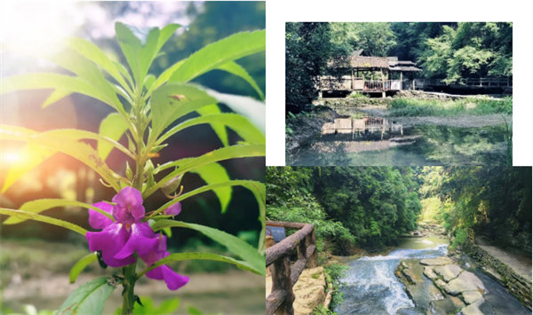 “湘”約鳳凰，相守未來(lái)——2022博皓快樂湖南行    -34
