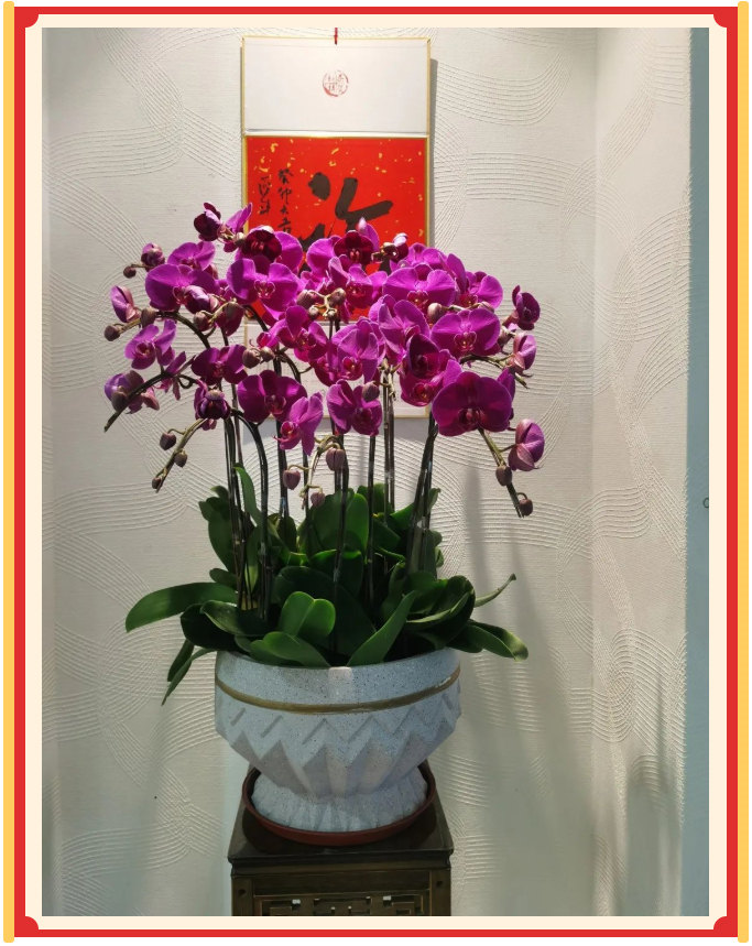 廣東博皓開工大吉丨金虎騰躍，兔來運(yùn)轉(zhuǎn)           -23