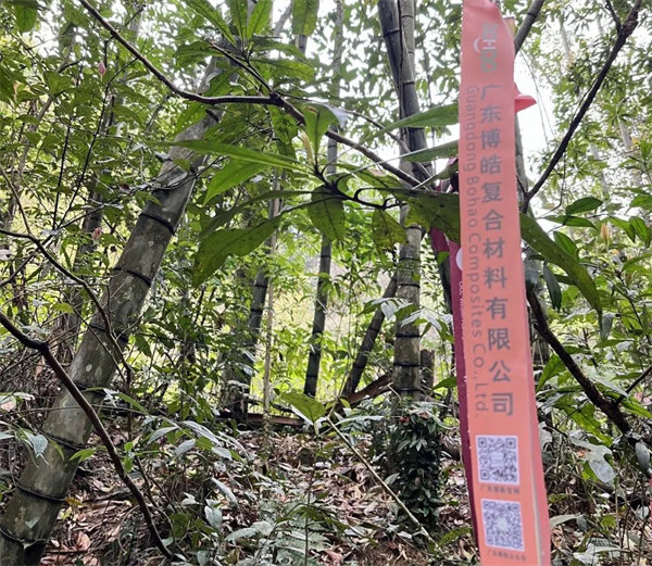 凝心聚力再出發(fā)，風(fēng)雨同舟赴星溪！--廣東博皓2024龍年首登星溪之旅     -2