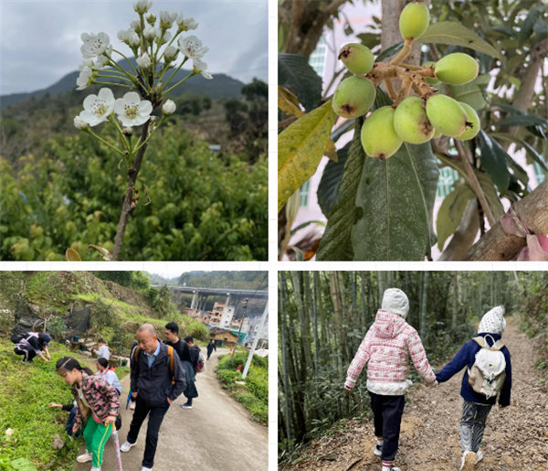 凝心聚力再出發(fā)，風(fēng)雨同舟赴星溪！--廣東博皓2024龍年首登星溪之旅     -4