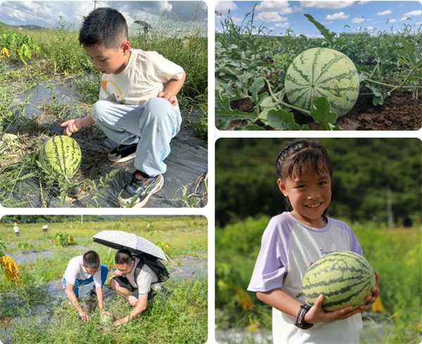 趣游盛夏，一路童行—2024年廣東博皓親子游   -12