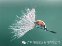 【博皓感悟】成功，要“借力”，不要“盡力”