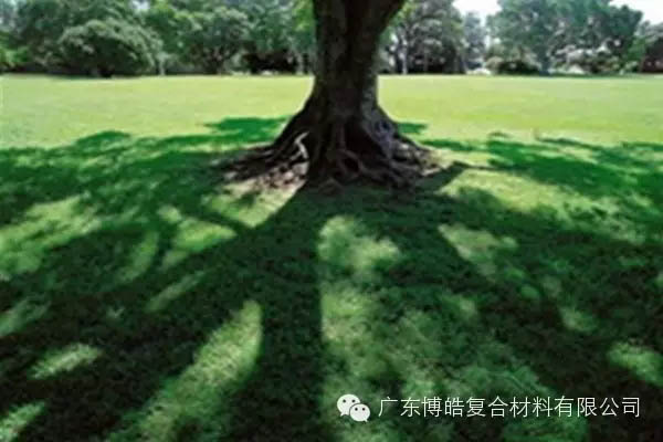 【博皓感悟】欲為大樹，莫與草爭(zhēng)-6