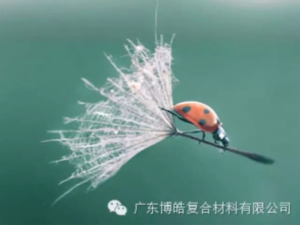 【博皓感悟】成功，要“借力”，不要“盡力”